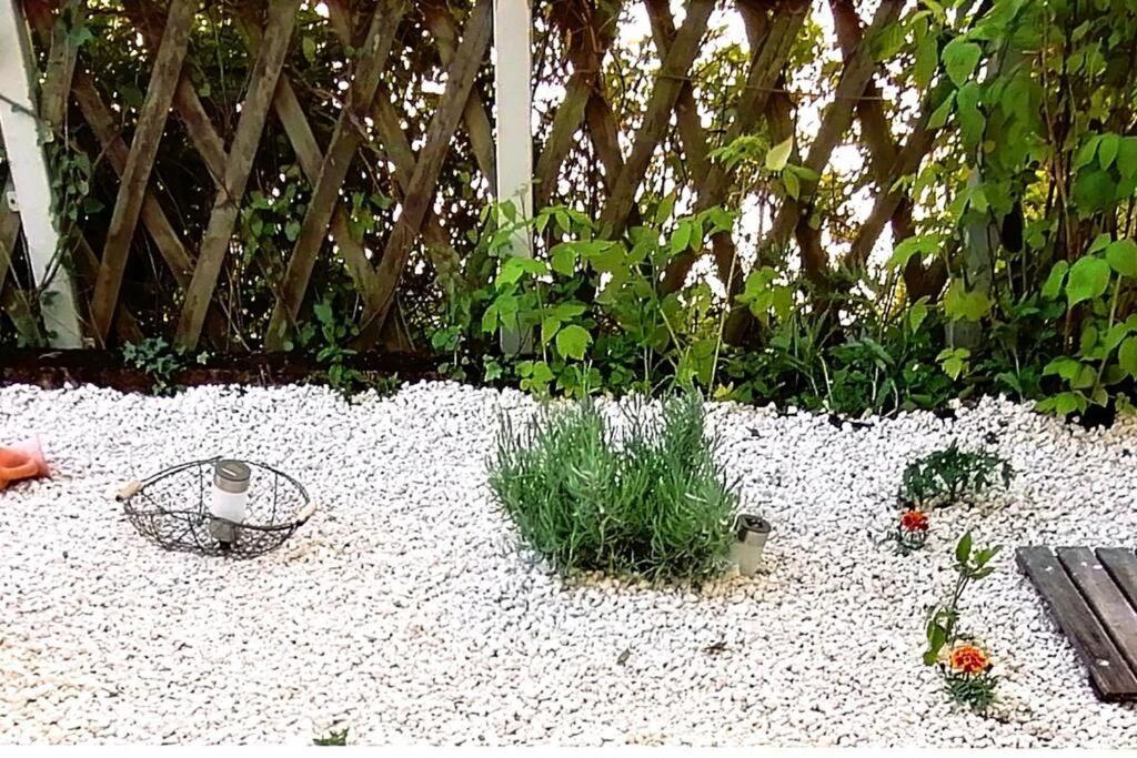 Apartment L'ile D'olive, Entier 2 A 4 Personnes Terrasse 25 M2 Besancon, Proche Cv, Micropolis Et Chu Besançon